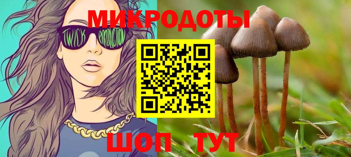 Галлюциногенные грибы Cubensis  Вход с VPN  Людиново 