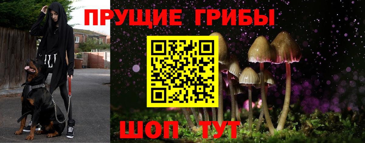 Галлюциногенные грибы мухоморы Людиново