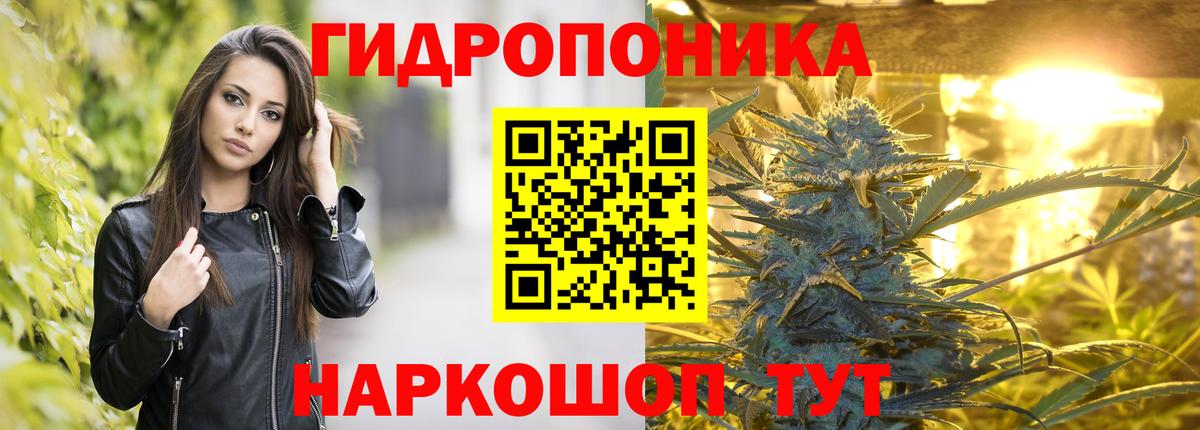 Конопля THC 21%  Шишки марихуана White Widow  Вход с VPN  Марихуана конопля  Людиново  Каннабис Bruce Banner 